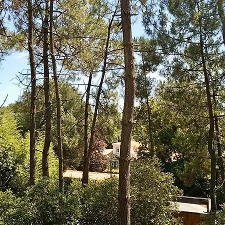 Maison Dans Les Arbres, Proche Plage, Cheminee, Jardin, Parking - Fr-1-652-46 * Saint-Jean-de-Monts