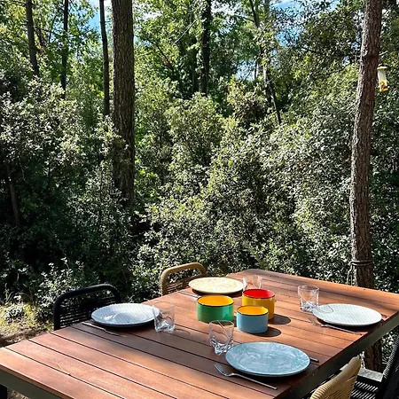 Holiday home Maison Dans Les Arbres, Proche Plage, Cheminee, Jardin, Parking - Fr-1-652-46 Saint-Jean-de-Monts
