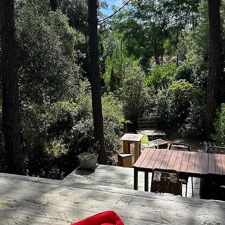 Holiday home Maison Dans Les Arbres, Proche Plage, Cheminee, Jardin, Parking - Fr-1-652-46 *