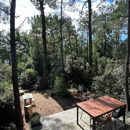 Maison Dans Les Arbres, Proche Plage, Cheminee, Jardin, Parking - Fr-1-652-46