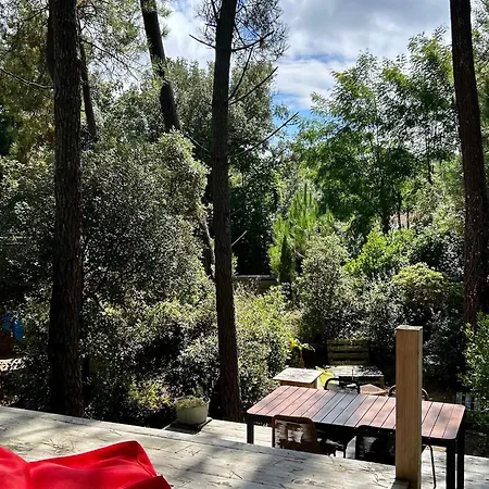 Maison Dans Les Arbres, Proche Plage, Cheminee, Jardin, Parking - Fr-1-652-46 Saint-Jean-de-Monts